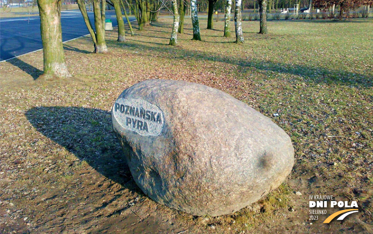 Na zdjęciu pomnik pyry w poznaniu (zdjęcie: https://commons.wikimedia.org/wiki/file:pyra_monument_poznan.jpg)