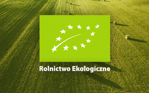 Na zdjęciu europejskie logo produkcji ekologicznej czyli flaga unii europejskiej oraz liść